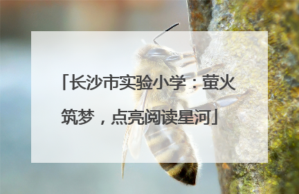 长沙市实验小学：萤火筑梦，点亮阅读星河