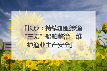 长沙：持续加强涉渔“三无”船舶整治，维护渔业生产安全