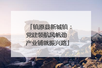 镇原县新城镇：党建领航风帆劲 产业铺就振兴路