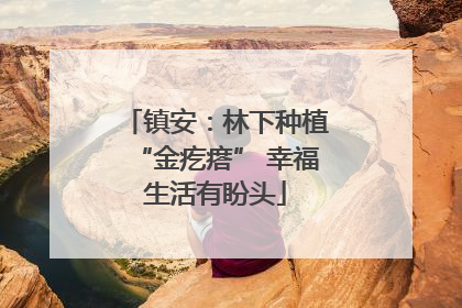 镇安：林下种植“金疙瘩” 幸福生活有盼头