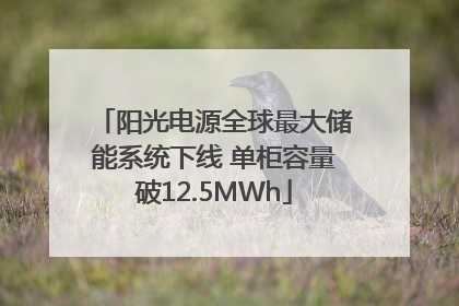 阳光电源全球最大储能系统下线 单柜容量破12.5MWh
