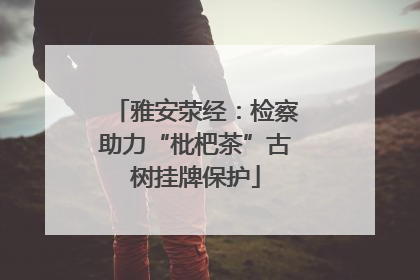 雅安荥经：检察助力“枇杷茶”古树挂牌保护