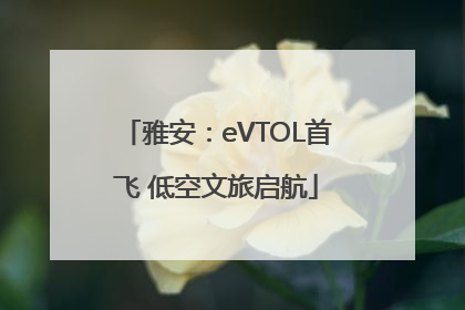 雅安：eVTOL首飞 低空文旅启航