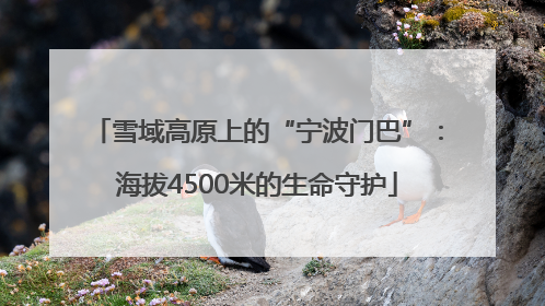 雪域高原上的“宁波门巴”：海拔4500米的生命守护