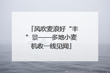 风吹麦浪好“丰”景——多地小麦机收一线见闻