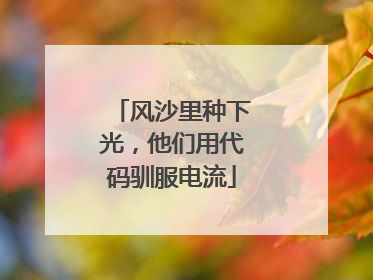 风沙里种下光，他们用代码驯服电流