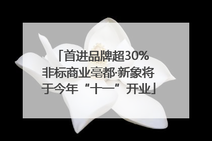 首进品牌超30% 非标商业亳都·新象将于今年“十一”开业