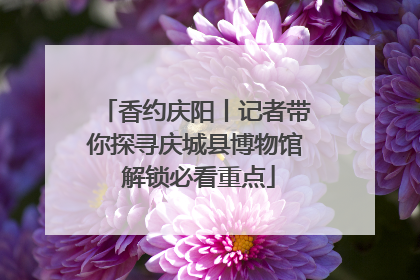 香约庆阳丨记者带你探寻庆城县博物馆 解锁必看重点