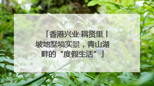 香港兴业·耦贤里丨坡地墅境实景，青山湖畔的“度假生活”