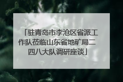 驻青岛市李沧区省派工作队莅临山东省地矿局二四八大队调研座谈