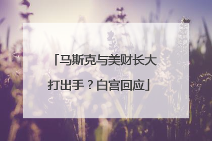 马斯克与美财长大打出手？白宫回应