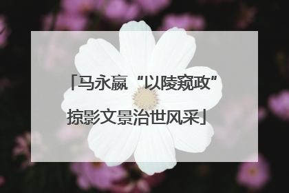马永嬴“以陵窥政” 掠影文景治世风采