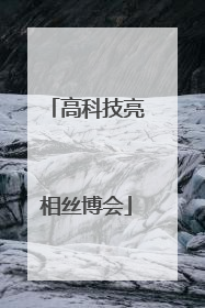 高科技亮相丝博会