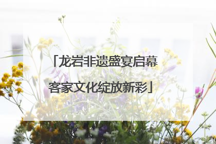 龙岩非遗盛宴启幕 客家文化绽放新彩