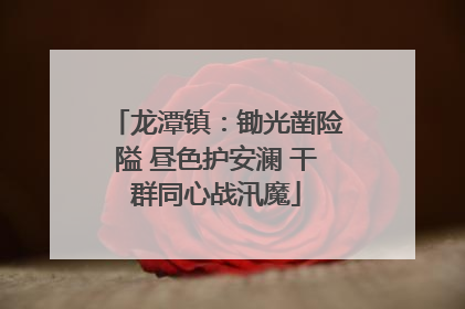 龙潭镇：锄光凿险隘 昼色护安澜 干群同心战汛魔