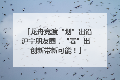 龙舟竞渡“划”出沿沪宁朋友圈，“赛”出创新带新可能！