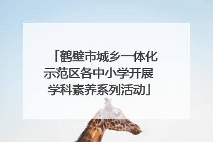 鹤壁市城乡一体化示范区各中小学开展学科素养系列活动