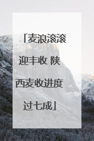 麦浪滚滚迎丰收 陕西麦收进度过七成