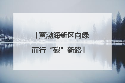 黄渤海新区向绿而行“碳”新路