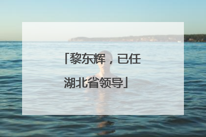 黎东辉，已任湖北省领导