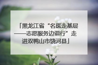 黑龙江省“名医走基层——志愿服务边疆行”走进双鸭山市饶河县