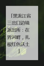 黑龙江省三岔口边境派出所：在界河畔，扎根红色沃土