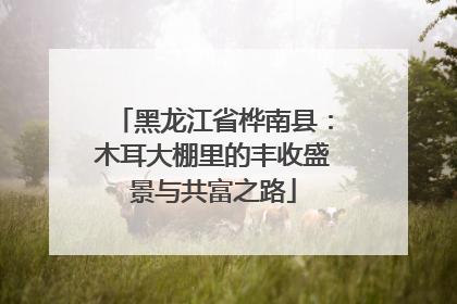 黑龙江省桦南县：木耳大棚里的丰收盛景与共富之路