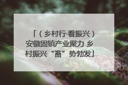 （乡村行·看振兴）安徽固镇产业聚力 乡村振兴“畜”势勃发