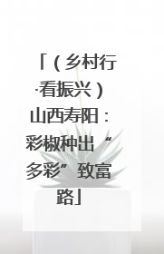 （乡村行·看振兴）山西寿阳：彩椒种出“多彩”致富路