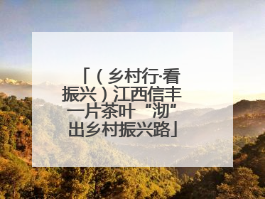 （乡村行·看振兴）江西信丰一片茶叶“沏”出乡村振兴路