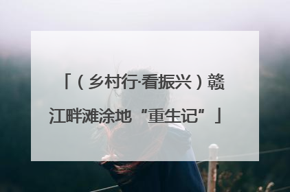 （乡村行·看振兴）赣江畔滩涂地“重生记”