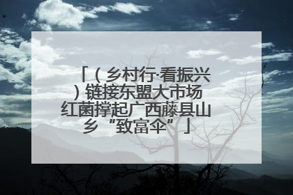 （乡村行·看振兴）链接东盟大市场 红菌撑起广西藤县山乡“致富伞”