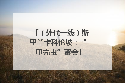 （外代一线）斯里兰卡科伦坡：“甲壳虫”聚会