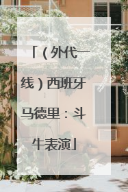（外代一线）西班牙马德里：斗牛表演