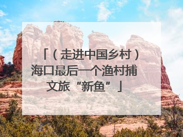 （走进中国乡村）海口最后一个渔村捕文旅“新鱼”