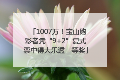 1007万！宝山购彩者凭“9+2”复式票中得大乐透一等奖