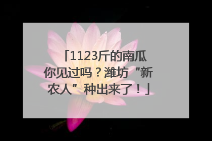 1123斤的南瓜你见过吗？潍坊“新农人”种出来了！