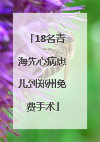 18名青海先心病患儿到郑州免费手术