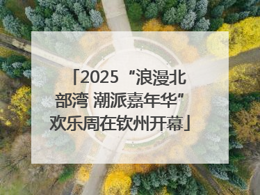 2025“浪漫北部湾 潮派嘉年华”欢乐周在钦州开幕