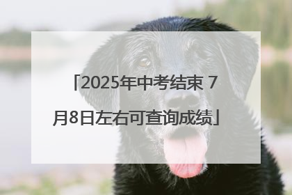 2025年中考结束 7月8日左右可查询成绩