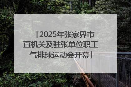 2025年张家界市直机关及驻张单位职工气排球运动会开幕
