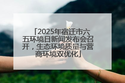 2025年宿迁市六五环境日新闻发布会召开，生态环境质量与营商环境双优化