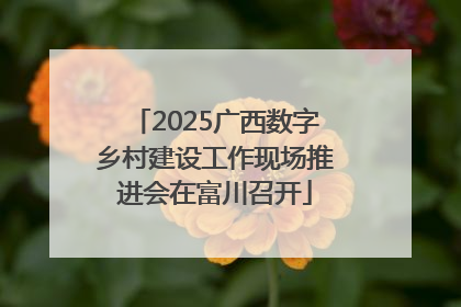 2025广西数字乡村建设工作现场推进会在富川召开