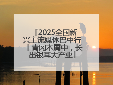 2025全国新兴主流媒体巴中行丨青冈木屑中，长出银耳大产业