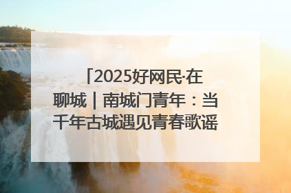 2025好网民·在聊城｜南城门青年：当千年古城遇见青春歌谣 一湖碧水见证的“聊城式浪漫”
