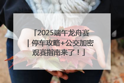 2025端午龙舟赛｜停车攻略+公交加密 观赛指南来了！