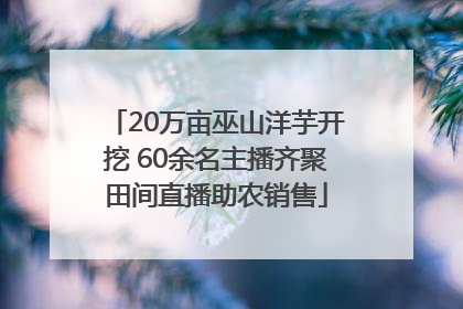 20万亩巫山洋芋开挖 60余名主播齐聚田间直播助农销售