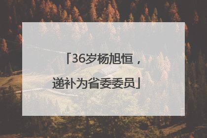 36岁杨旭恒，递补为省委委员