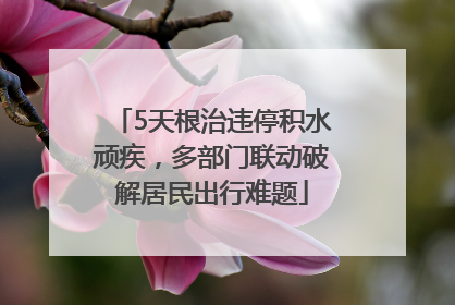 5天根治违停积水顽疾，多部门联动破解居民出行难题