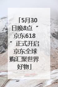 5月30日晚8点“京东618”正式开启 京东全球购汇聚世界好物